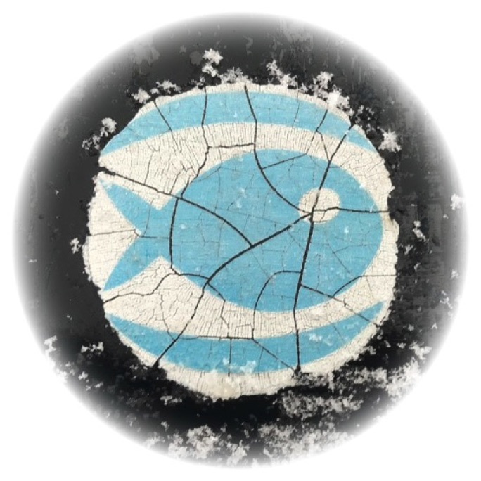 Fishbeam Software Finish